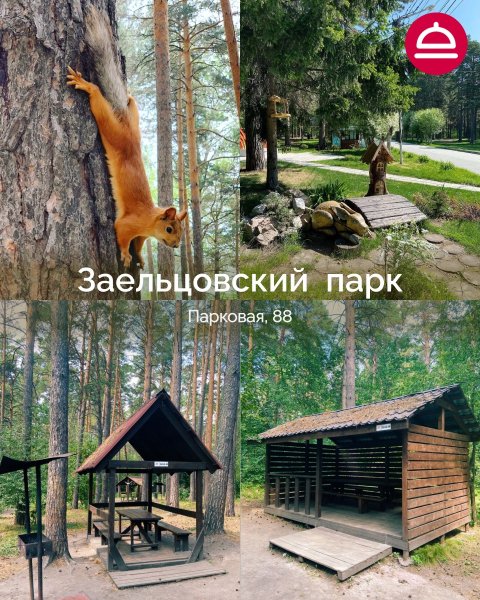 Где пожарить шашлыки с друзьями